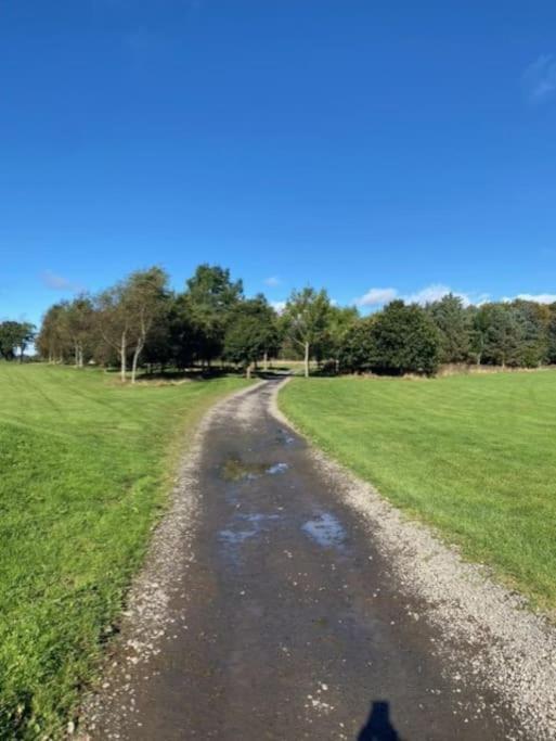 Honeybee Lodge Morpeth Esterno foto