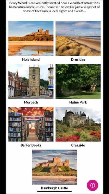 Honeybee Lodge Morpeth Esterno foto